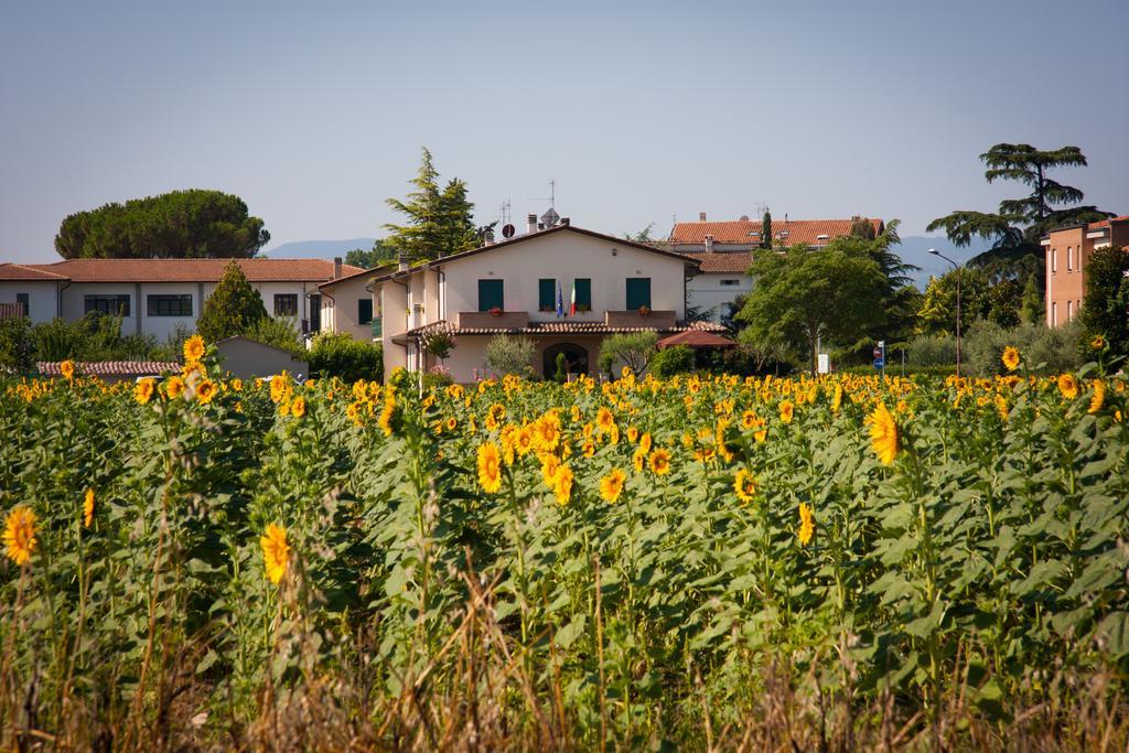 P&P Assisi Camere Бастия-Умбра Экстерьер фото